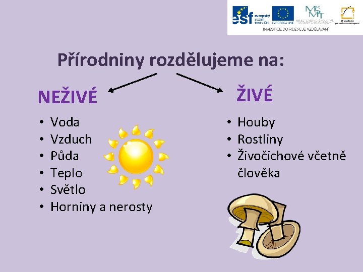 Přírodniny rozdělujeme na: NEŽIVÉ • • • Voda Vzduch Půda Teplo Světlo Horniny a