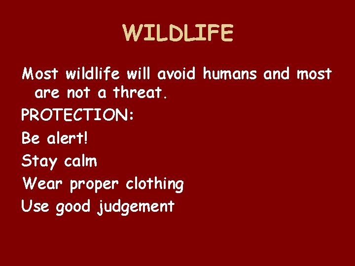 WILDLIFE Most wildlife will avoid humans and most are not a threat. PROTECTION: Be