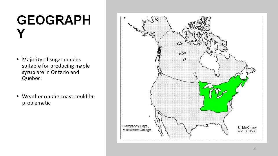 GEOGRAPH Y • Majority of sugar maples suitable for producing maple syrup are in GEOGRAPH Y • Majority of sugar maples suitable for producing maple syrup are in