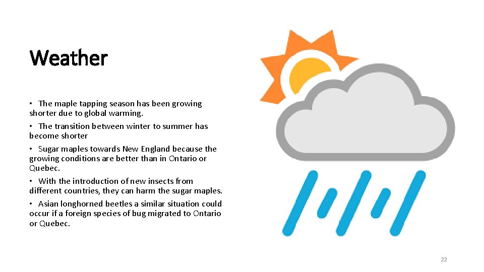 Weather • The maple tapping season has been growing shorter due to global warming. Weather • The maple tapping season has been growing shorter due to global warming.