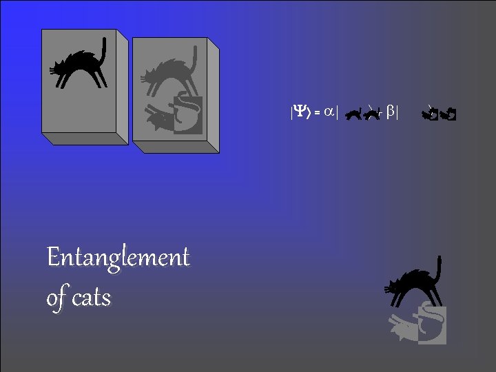 | = | Entanglement of cats + | | = | Entanglement of cats + |