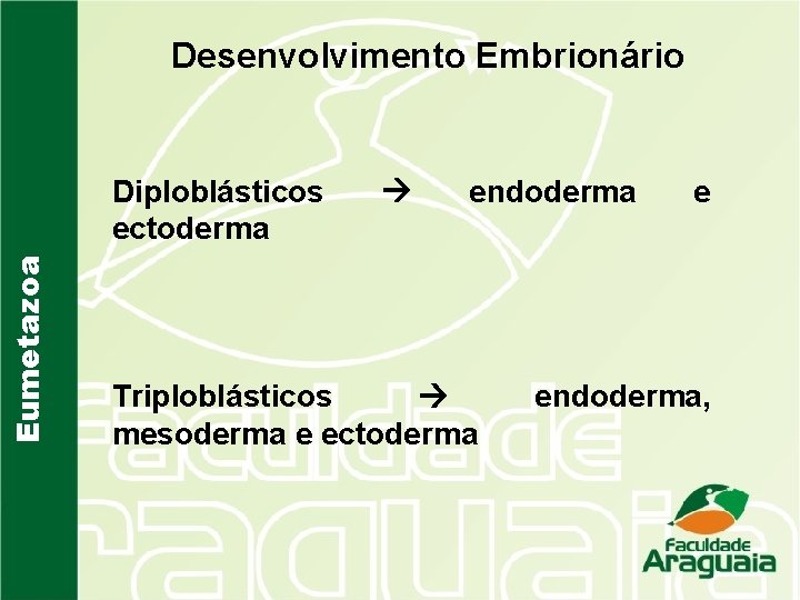 Desenvolvimento Embrionário Eumetazoa Diploblásticos ectoderma endoderma Triploblásticos mesoderma e ectoderma e endoderma, 