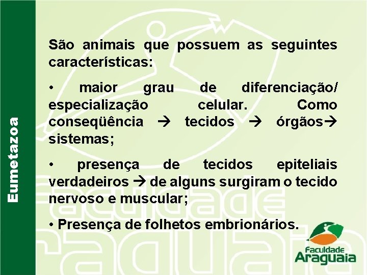 Eumetazoa São animais que possuem as seguintes características: • maior grau de diferenciação/ especialização