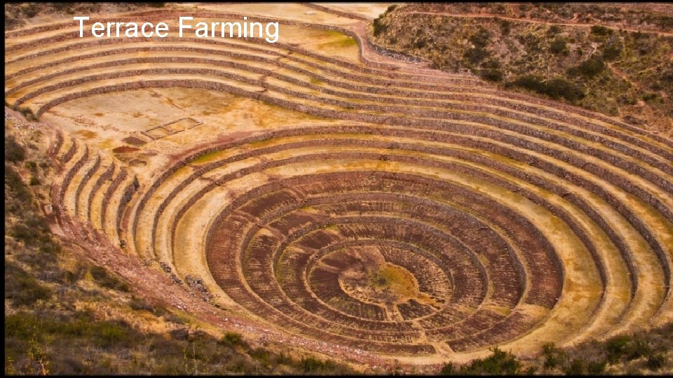 Aztec Temple Terrace Farming 