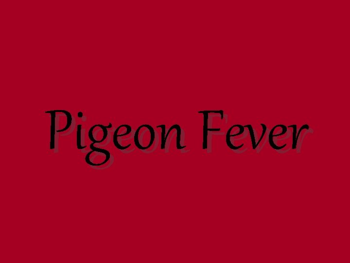Pigeon Fever 