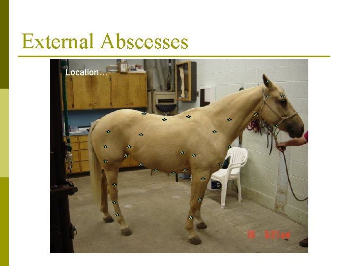 External Abscesses Location… 