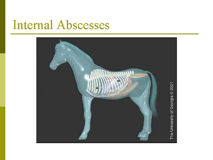Internal Abscesses 