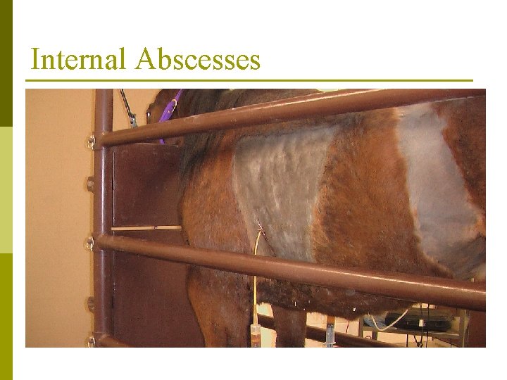 Internal Abscesses 