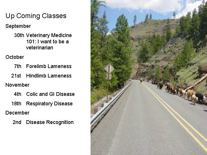 Up Coming Classes September 30 th Veterinary Medicine 101: I want to be a