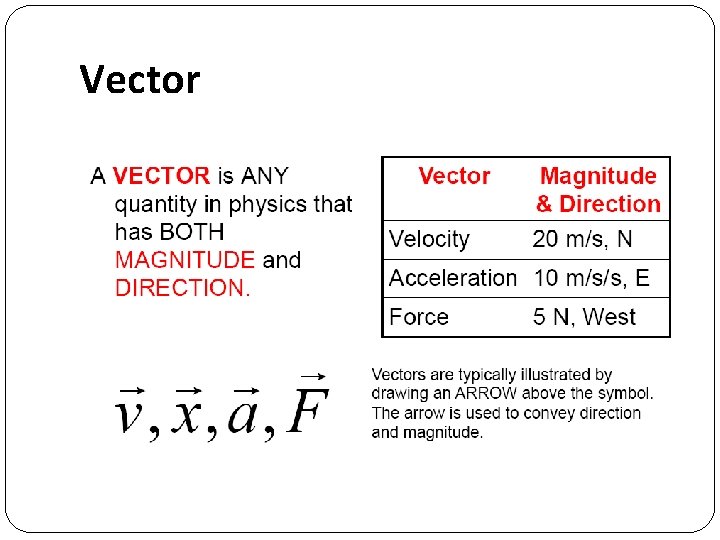 Vector 