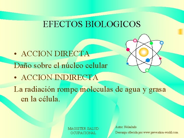 EFECTOS BIOLOGICOS • ACCION DIRECTA Daño sobre el núcleo celular • ACCION INDIRECTA La