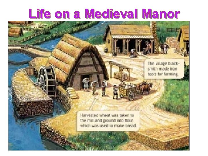 Life on a Medieval Manor 