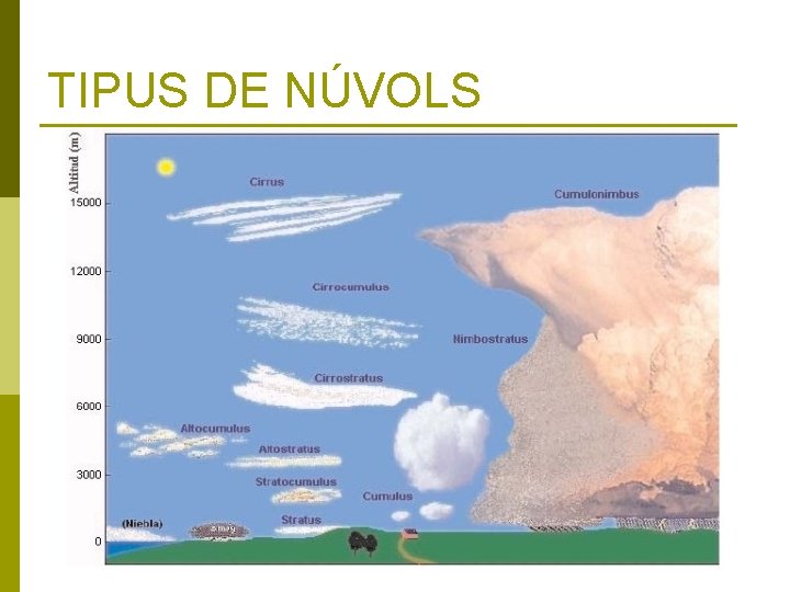 TIPUS DE NÚVOLS 