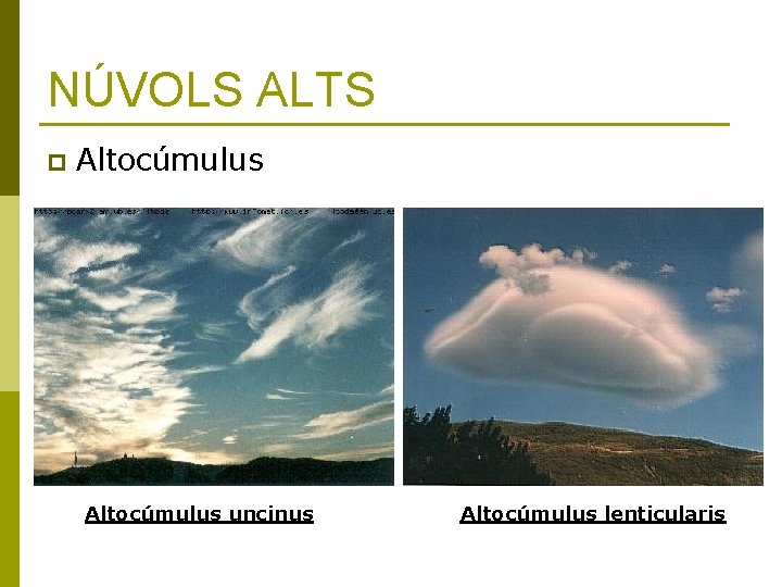 NÚVOLS ALTS p Altocúmulus uncinus Altocúmulus lenticularis 