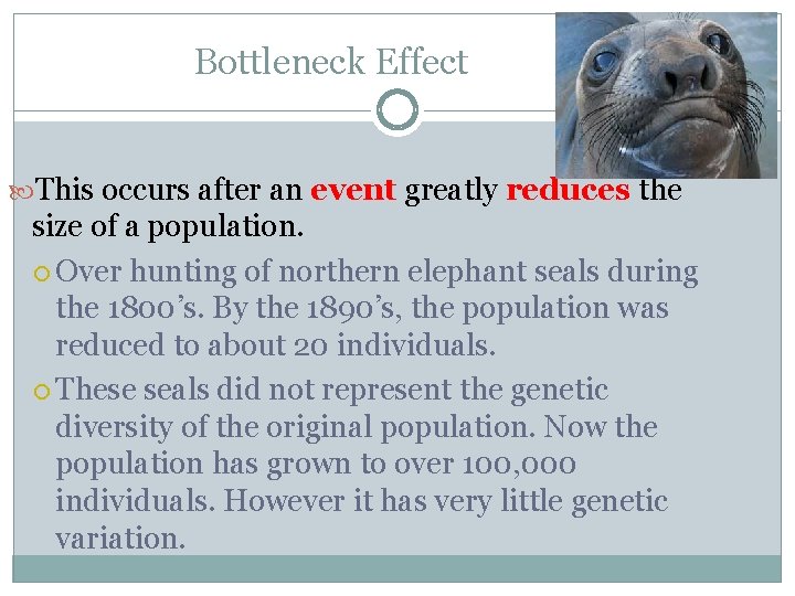 Bottleneck Effect This occurs after an event greatly reduces the size of a population.