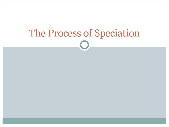 The Process of Speciation 