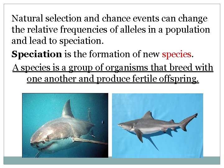 Natural selection and chance events can change the relative frequencies of alleles in a
