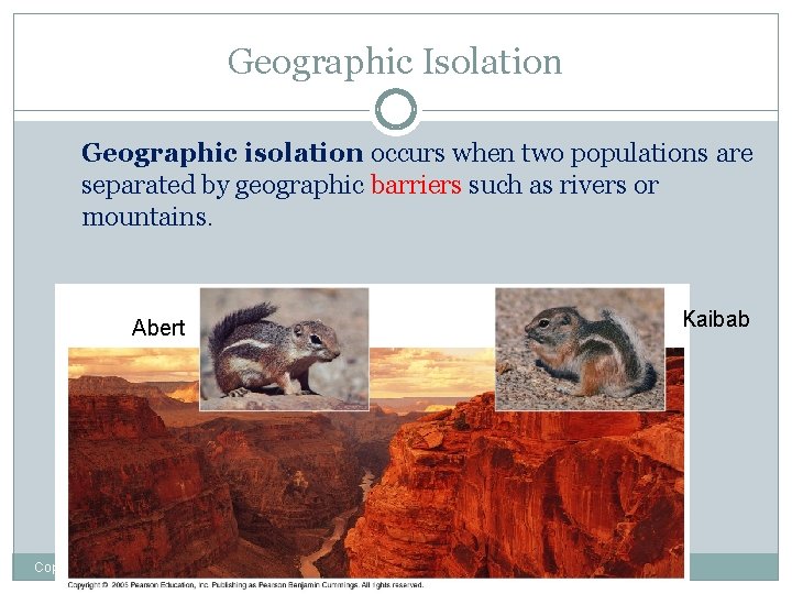 Geographic Isolation Geographic isolation occurs when two populations are separated by geographic barriers such