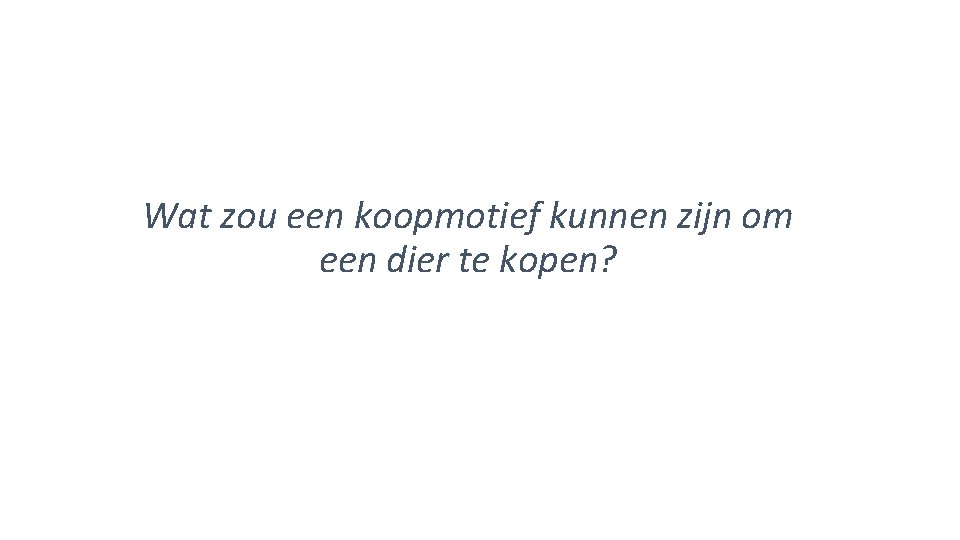 Wat zou een koopmotief kunnen zijn om een dier te kopen? 