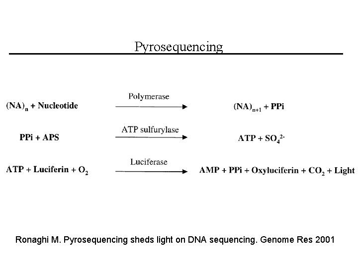 Pyrosequencing Ronaghi M. Pyrosequencing sheds light on DNA sequencing. Genome Res 2001 