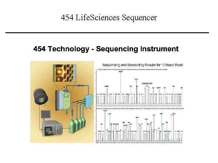 454 Life. Sciences Sequencer 