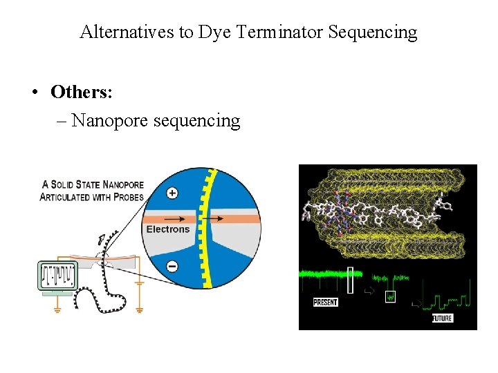 Alternatives to Dye Terminator Sequencing • Others: – Nanopore sequencing 