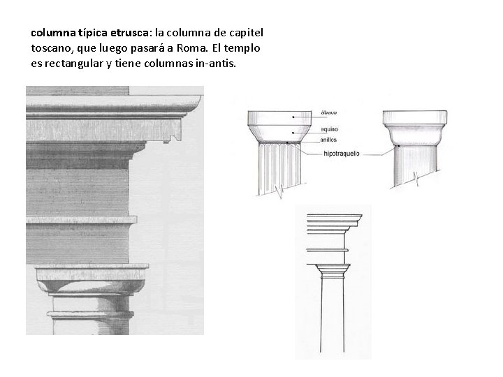 columna típica etrusca: la columna de capitel toscano, que luego pasará a Roma. El