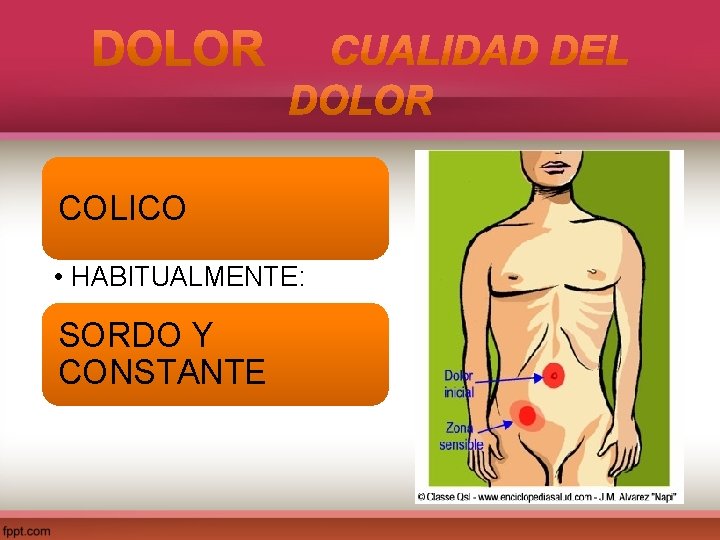 COLICO • HABITUALMENTE: SORDO Y CONSTANTE 