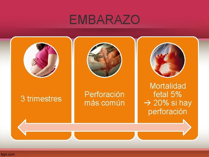 EMBARAZO 3 trimestres Perforación más común Mortalidad fetal 5% 20% si hay perforación 