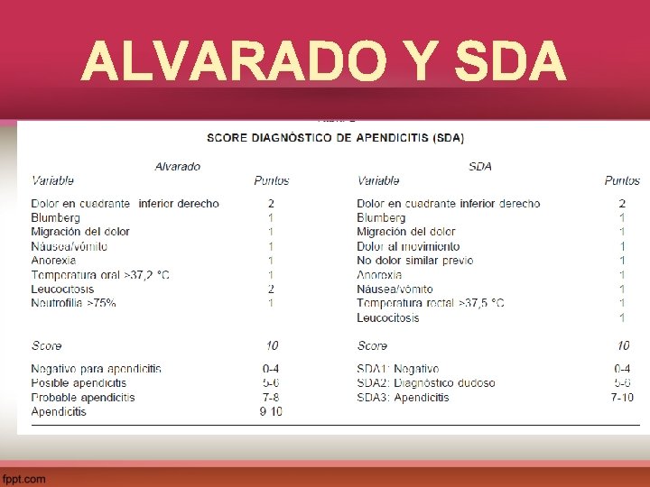 ALVARADO Y SDA 