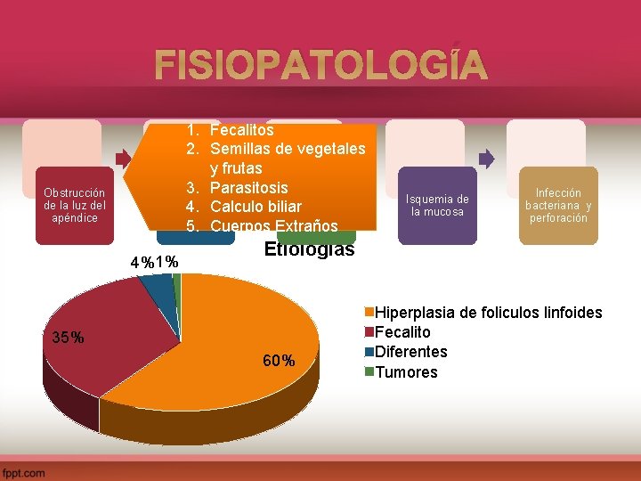 FISIOPATOLOGÍA Obstrucción de la luz del apéndice 1. Fecalitos 2. Semillas de vegetales y