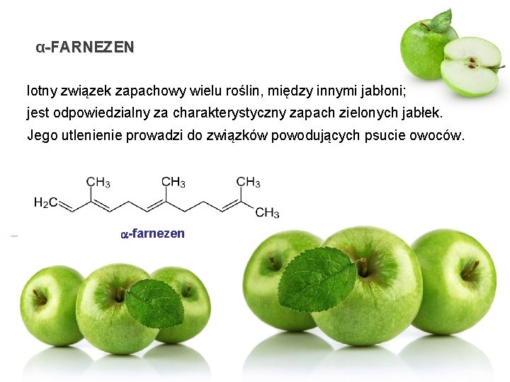 α-FARNEZEN lotny związek zapachowy wielu roślin, między innymi jabłoni; jest odpowiedzialny za charakterystyczny zapach