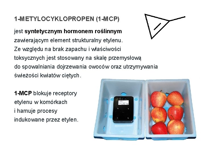 1 -METYLOCYKLOPROPEN (1 -MCP) jest syntetycznym hormonem roślinnym zawierającym element strukturalny etylenu. Ze względu