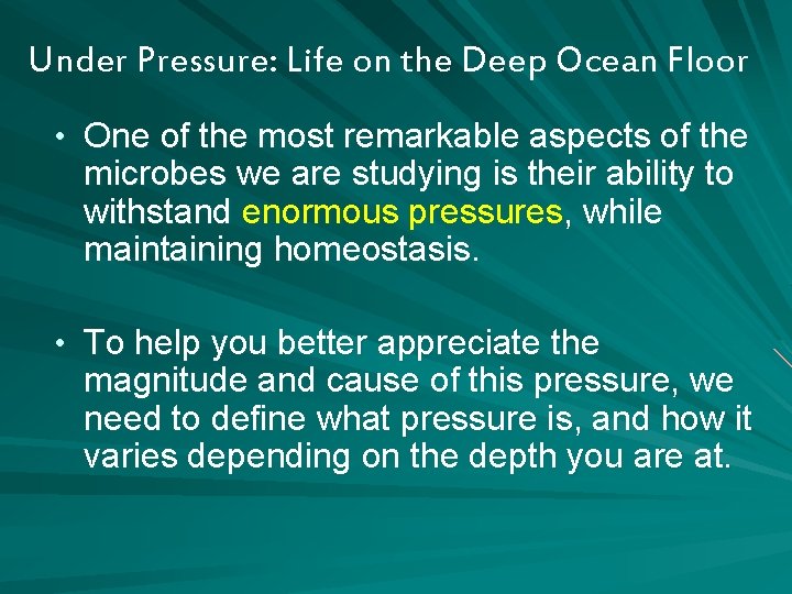 Under Pressure: Life on the Deep Ocean Floor • One of the most remarkable