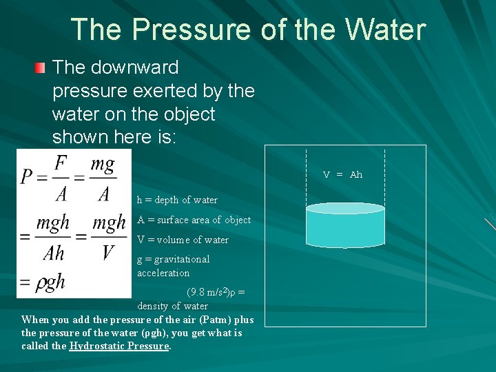 The Pressure of the Water The downward pressure exerted by the water on the