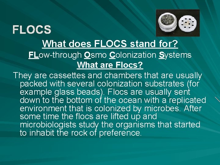 What does FLOCS stand for? FLow-through Osmo Colonization Systems What are Flocs? They are
