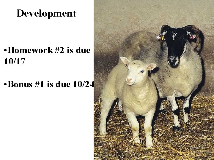 Development • Homework #2 is due 10/17 • Bonus #1 is due 10/24 