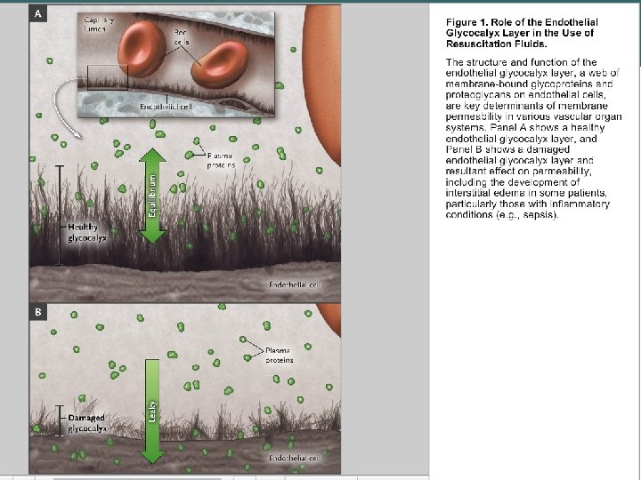 Copyright©© 2004 Pearson. Education, Inc. , publishingas as. Benjamin. Cummings 