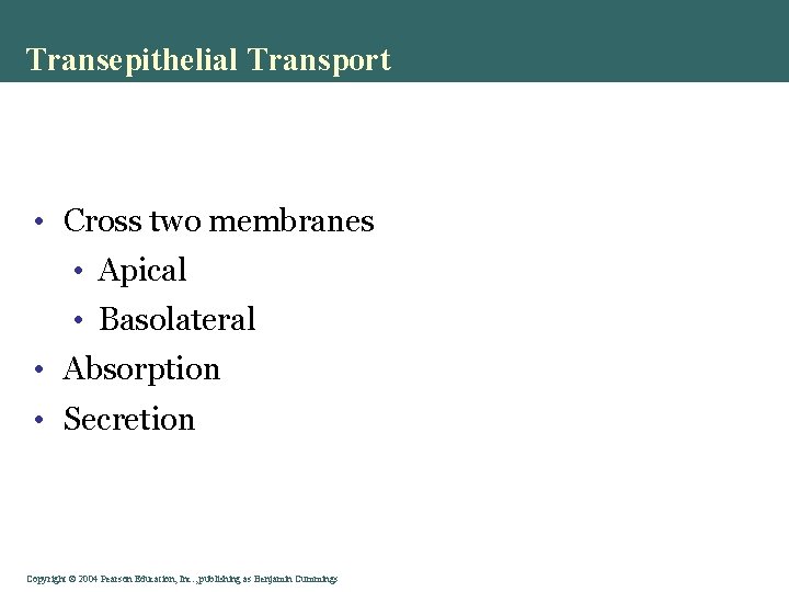 Transepithelial Transport • Cross two membranes • Apical • Basolateral • Absorption • Secretion