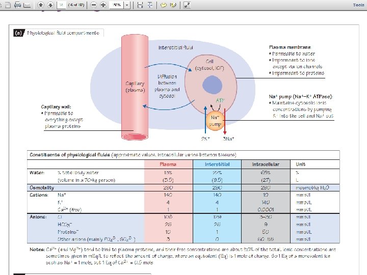 Copyright©© 2004 Pearson. Education, Inc. , publishingas as. Benjamin. Cummings 