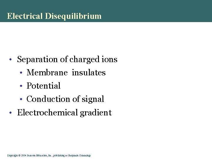 Electrical Disequilibrium • Separation of charged ions • Membrane insulates • Potential • Conduction