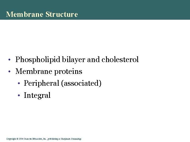 Membrane Structure • Phospholipid bilayer and cholesterol • Membrane proteins • Peripheral (associated) •