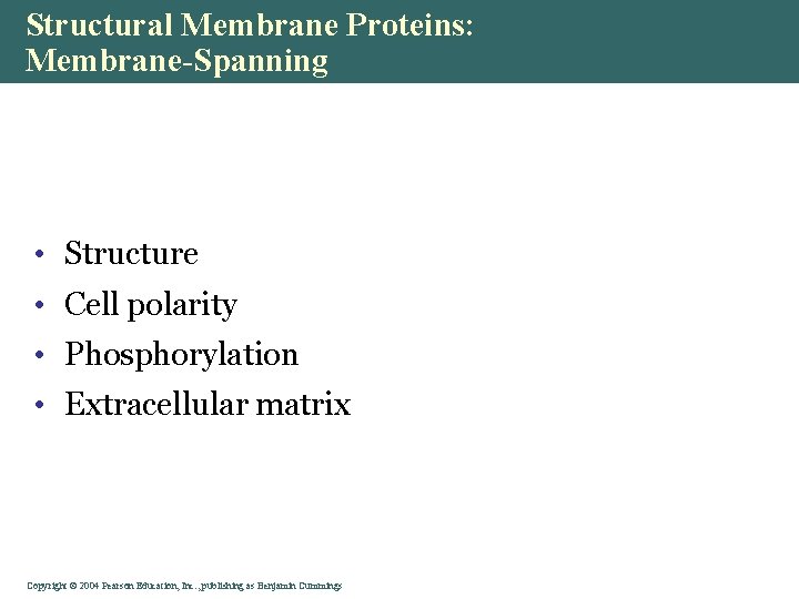 Structural Membrane Proteins: Membrane-Spanning • Structure • Cell polarity • Phosphorylation • Extracellular matrix