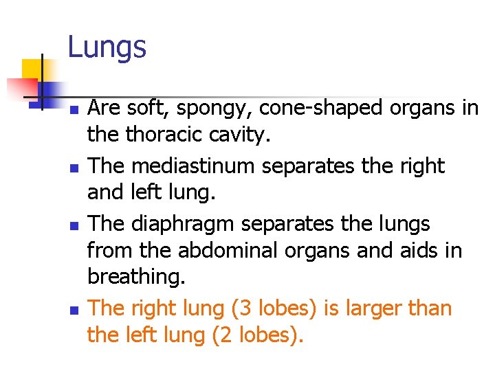 Lungs n n Are soft, spongy, cone-shaped organs in the thoracic cavity. The mediastinum