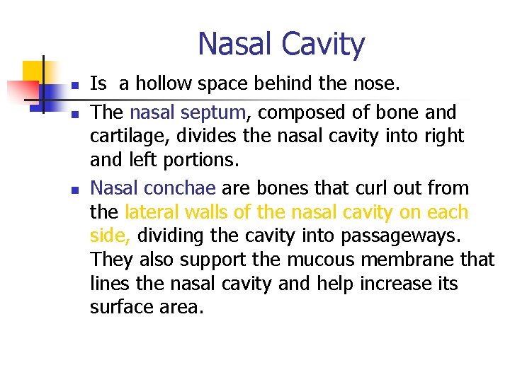 Nasal Cavity n n n Is a hollow space behind the nose. The nasal