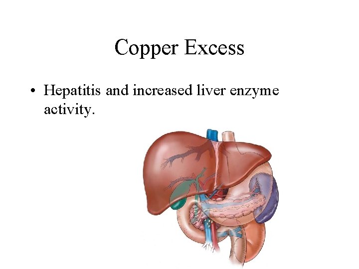 Copper Excess • Hepatitis and increased liver enzyme activity. 