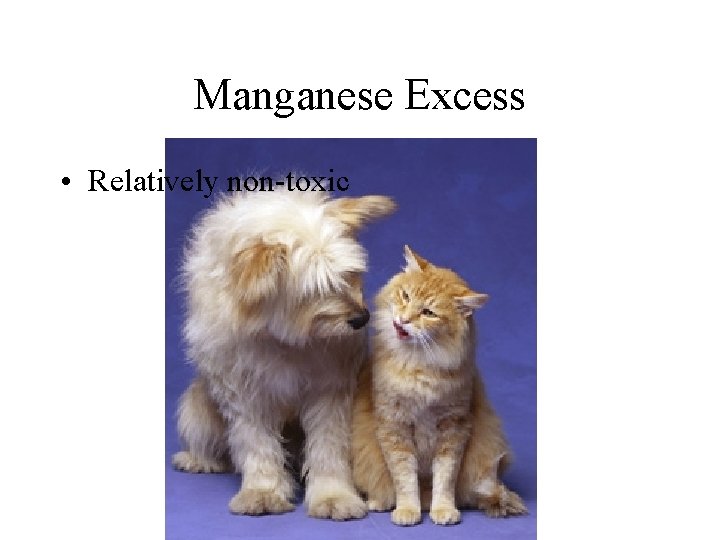 Manganese Excess • Relatively non-toxic 
