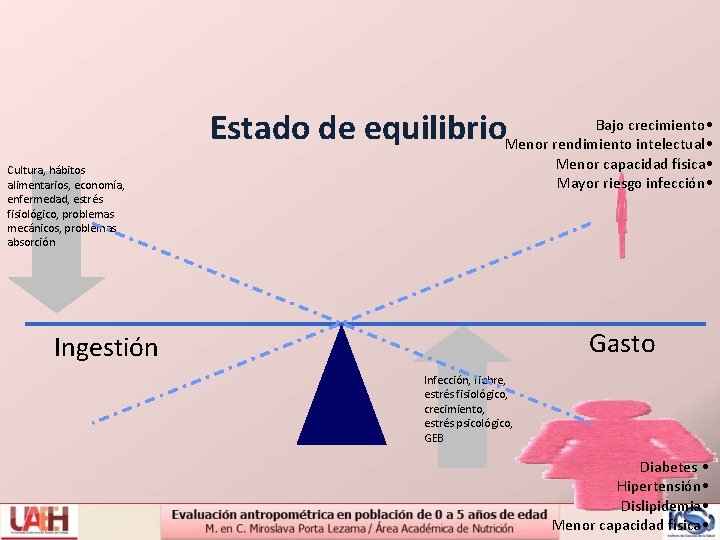 Bajo crecimiento • Estado de equilibrio. Menor rendimiento intelectual • Menor capacidad física •