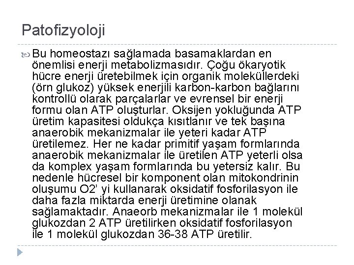 Patofizyoloji Bu homeostazı sağlamada basamaklardan en önemlisi enerji metabolizmasıdır. Çoğu ökaryotik hücre enerji üretebilmek