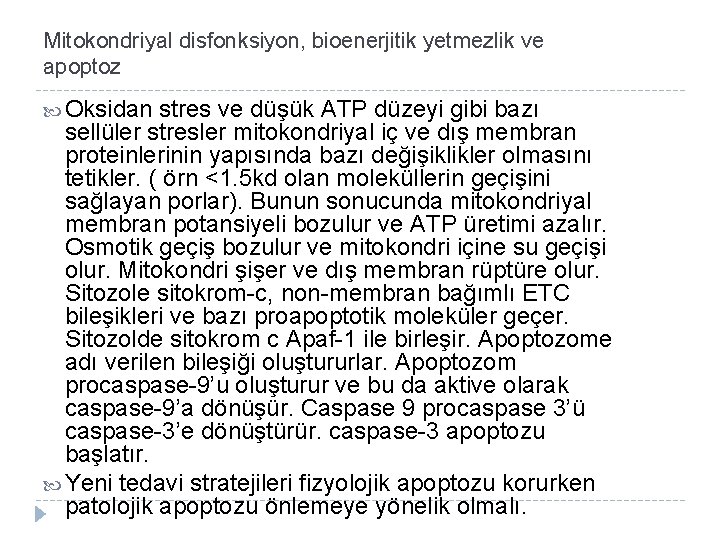 Mitokondriyal disfonksiyon, bioenerjitik yetmezlik ve apoptoz Oksidan stres ve düşük ATP düzeyi gibi bazı